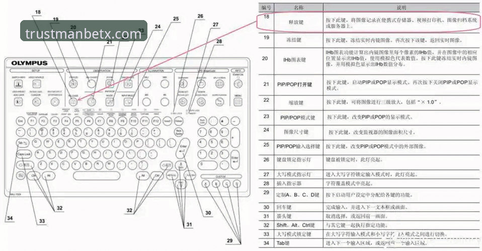 巴斯克德比观赛操作教程：从门迪佐罗萨对决看万博体育博彩玩法解析